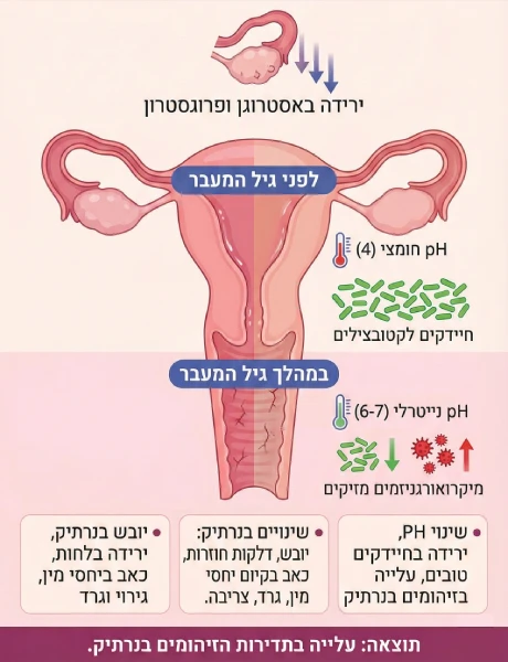 menapause_1