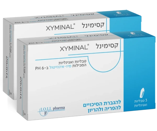 xyminal_2