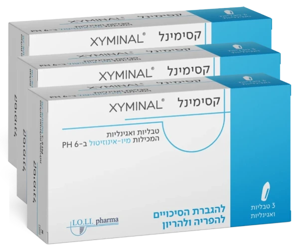 xyminal_3